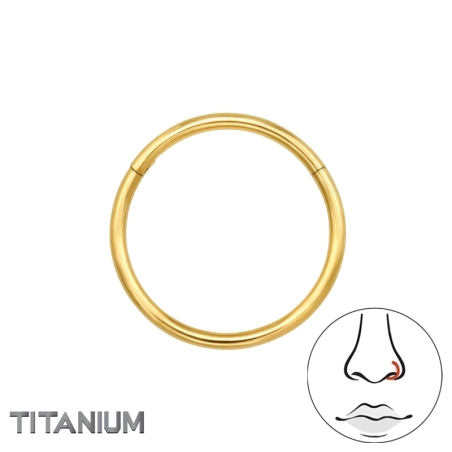 TMT-09-12-GD/47794